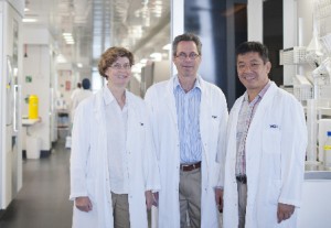 Cancer Research boost through ACRF funding